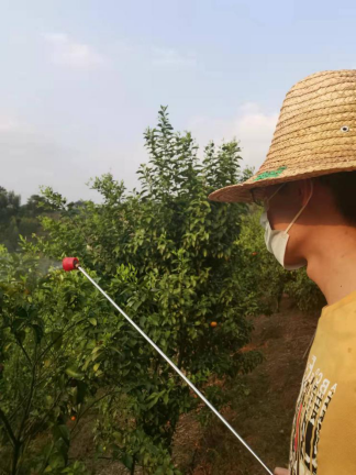 香港六合彩开奖号码