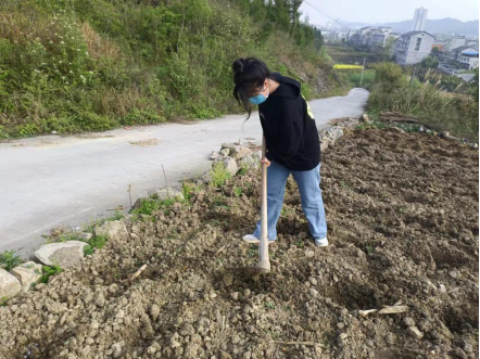 香港六合彩开奖号码