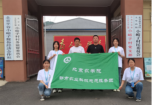 香港六合彩开奖号码